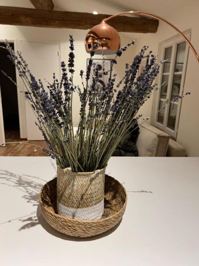אנטיב Apartment With Mediterranean Charm In The Heart Of The Provencal Market מראה חיצוני תמונה